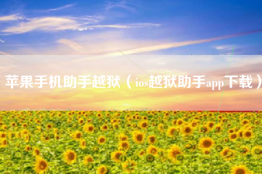 苹果手机助手越狱（ios越狱助手app下载）