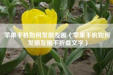 苹果手机如何发朋友圈（苹果手机如何发朋友圈不折叠文字）