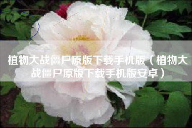 植物大战僵尸原版下载手机版（植物大战僵尸原版下载手机版安卓）