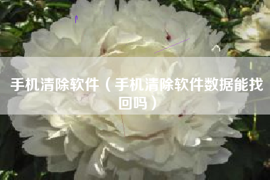 手机清除软件（手机清除软件数据能找回吗）