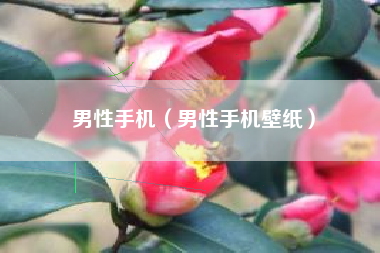 男性手机（男性手机壁纸）