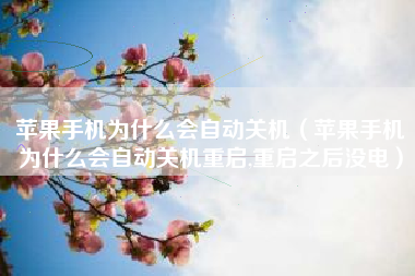 苹果手机为什么会自动关机（苹果手机为什么会自动关机重启,重启之后没电）