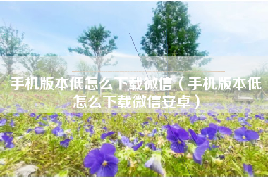 手机版本低怎么下载微信（手机版本低怎么下载微信安卓）