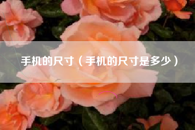 手机的尺寸（手机的尺寸是多少）