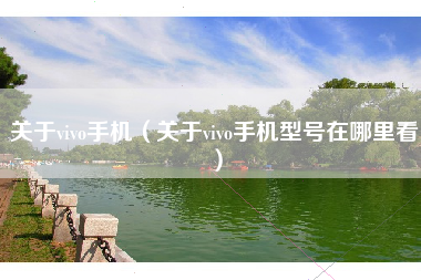 关于vivo手机（关于vivo手机型号在哪里看）