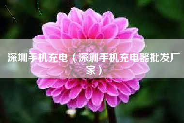 深圳手机充电（深圳手机充电器批发厂家）