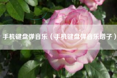 手机键盘弹音乐（手机键盘弹音乐谱子）