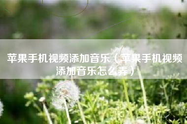 苹果手机视频添加音乐（苹果手机视频添加音乐怎么弄）