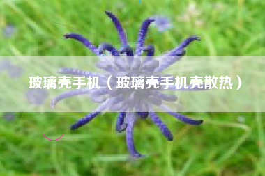 玻璃壳手机（玻璃壳手机壳散热）