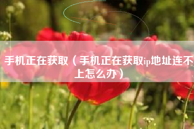 手机正在获取（手机正在获取ip地址连不上怎么办）