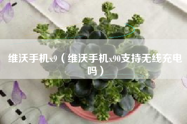 维沃手机x9（维沃手机x90支持无线充电吗）