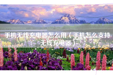 手机无线充电器怎么用（手机怎么支持无线充电器）