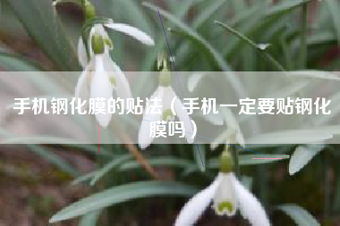 手机钢化膜的贴法（手机一定要贴钢化膜吗）