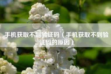 手机获取不到验证码（手机获取不到验证码的原因）