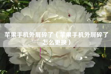 苹果手机外屏碎了（苹果手机外屏碎了怎么更换）