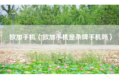 欧加手机（欧加手机是杂牌手机吗）