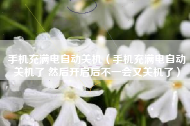 手机充满电自动关机（手机充满电自动关机了 然后开启后不一会又关机了）