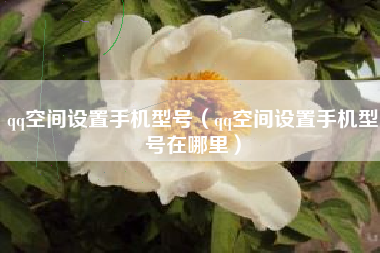 qq空间设置手机型号（qq空间设置手机型号在哪里）