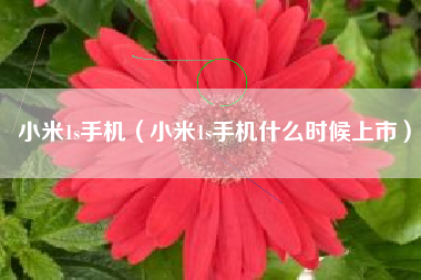 小米1s手机（小米1s手机什么时候上市）
