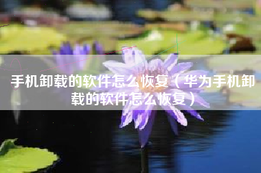 手机卸载的软件怎么恢复（华为手机卸载的软件怎么恢复）