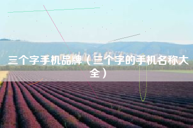 三个字手机品牌（三个字的手机名称大全）