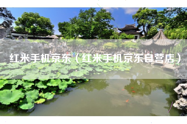 红米手机京东（红米手机京东自营店）
