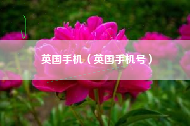 英国手机（英国手机号）
