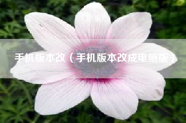 手机版本改（手机版本改成电脑版）