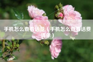 手机怎么查看话费（手机怎么查看话费清单）