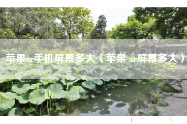 苹果xr手机屏幕多大（苹果 xr屏幕多大）