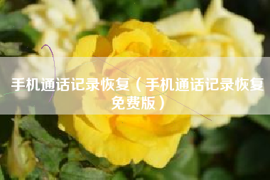 手机通话记录恢复（手机通话记录恢复免费版）