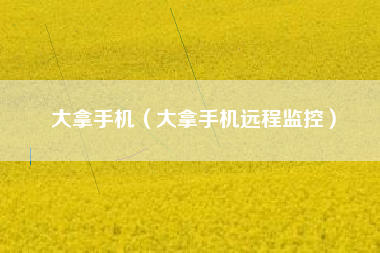 大拿手机（大拿手机远程监控）