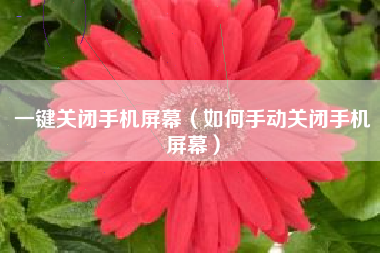 一键关闭手机屏幕（如何手动关闭手机屏幕）