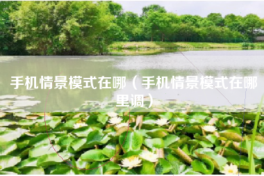 手机情景模式在哪（手机情景模式在哪里调）
