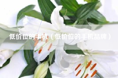低价位的手机（低价位的手机品牌）