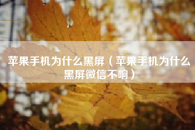 苹果手机为什么黑屏（苹果手机为什么黑屏微信不响）