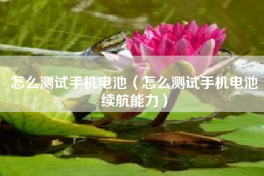 怎么测试手机电池（怎么测试手机电池续航能力）