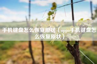 手机键盘怎么恢复原状（oppo手机键盘怎么恢复原状）