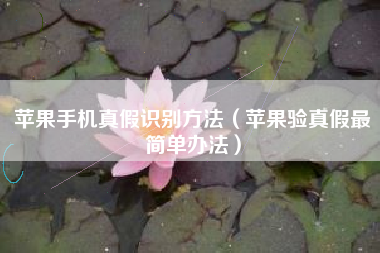 苹果手机真假识别方法（苹果验真假最简单办法）