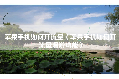 苹果手机如何开流量（苹果手机如何开流量漫游功能）