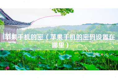 苹果手机的密（苹果手机的密码设置在哪里）