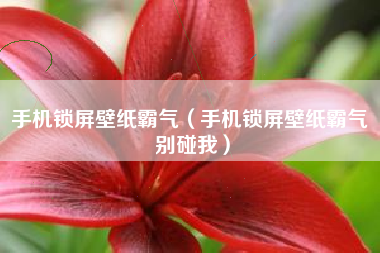 手机锁屏壁纸霸气（手机锁屏壁纸霸气 别碰我）