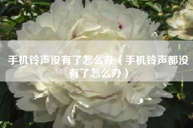 手机铃声没有了怎么办（手机铃声都没有了怎么办）