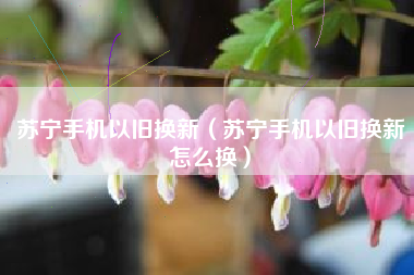苏宁手机以旧换新（苏宁手机以旧换新怎么换）