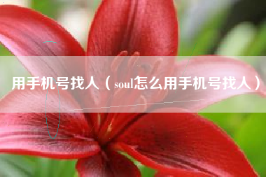 用手机号找人（soul怎么用手机号找人）