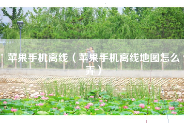 苹果手机离线（苹果手机离线地图怎么弄）