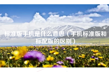 标准版手机是什么意思（手机标准版和标配版的区别）