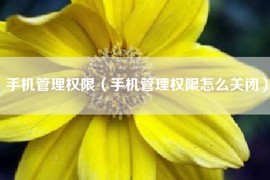 手机管理权限（手机管理权限怎么关闭）