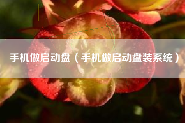 手机做启动盘（手机做启动盘装系统）