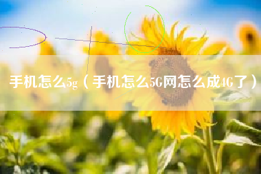 手机怎么5g（手机怎么5G网怎么成4G了）